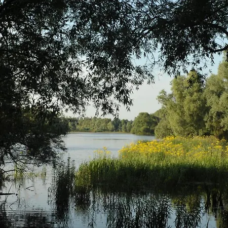De Hazelaarshof- Luxe Xl-glampingtent Campsite Kekerdom