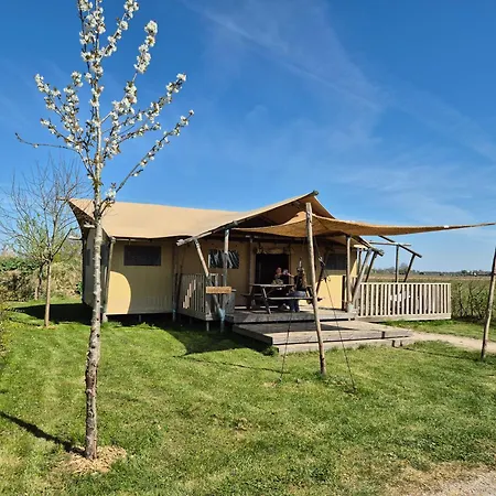 De Hazelaarshof- Luxe Xl-glampingtent *